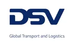 DSV Georgia