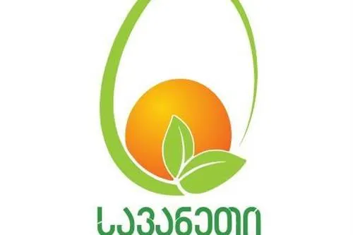 სავანეთი 99