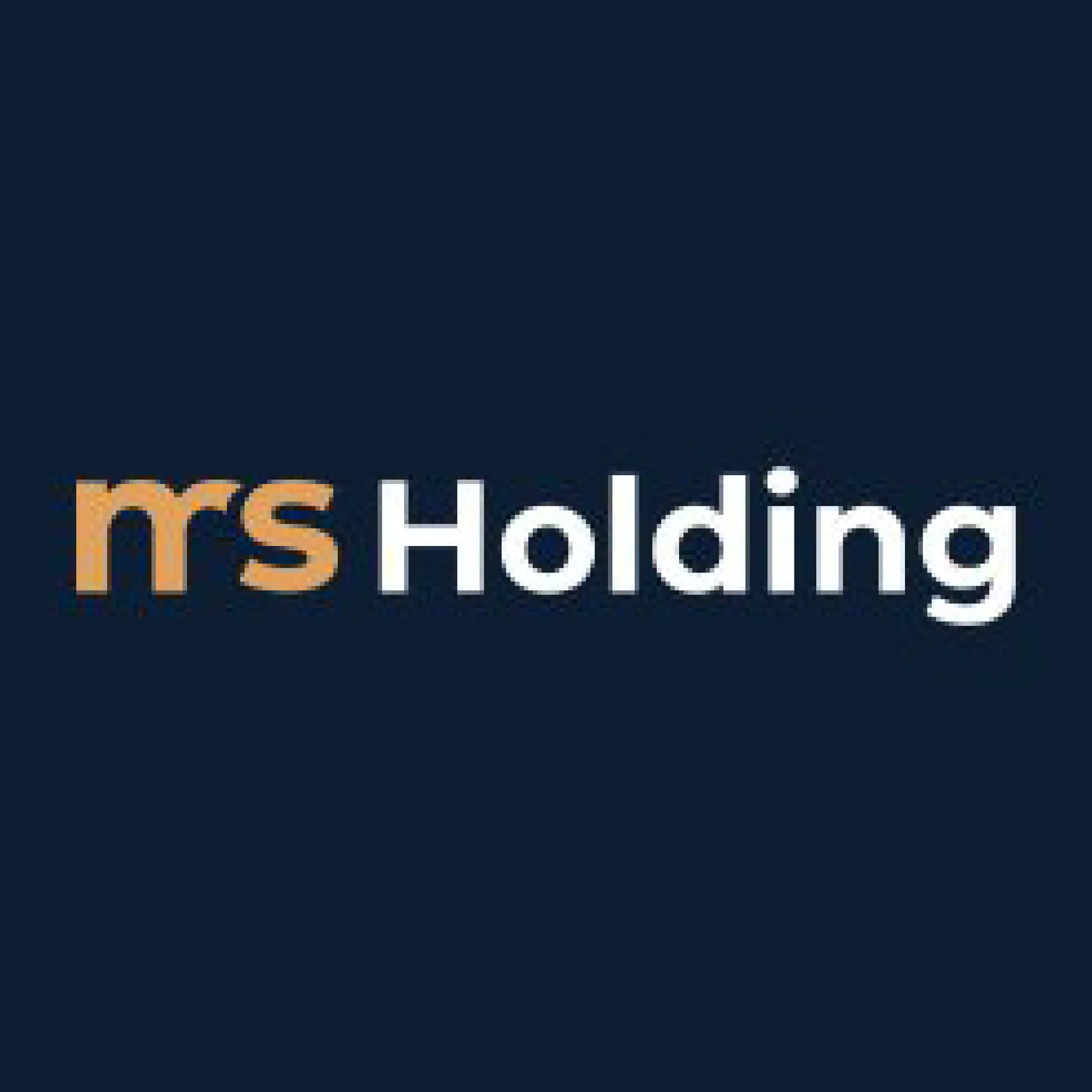 MS Holding