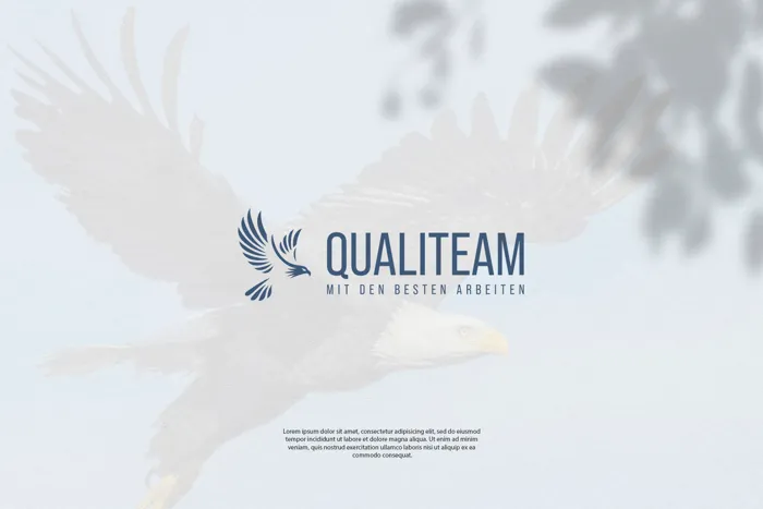 Qualiteam