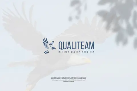 Qualiteam