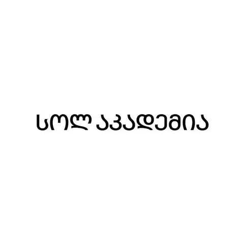 სოლ აკადემია