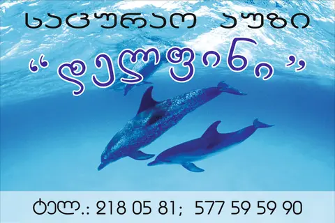 ი/მ "გიორგი შუბითიძე"