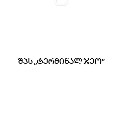 შპს „ტერმინალ ჯეო“