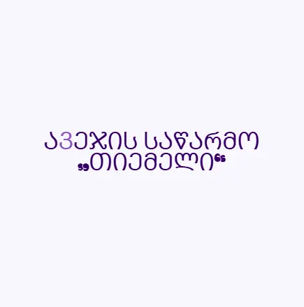 საწარმო „თი ემ ელი“