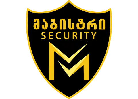 მაგისტრი სექურითი