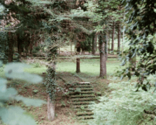 კურორტი სულორი