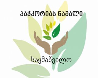 პაჭკორიას წამალი